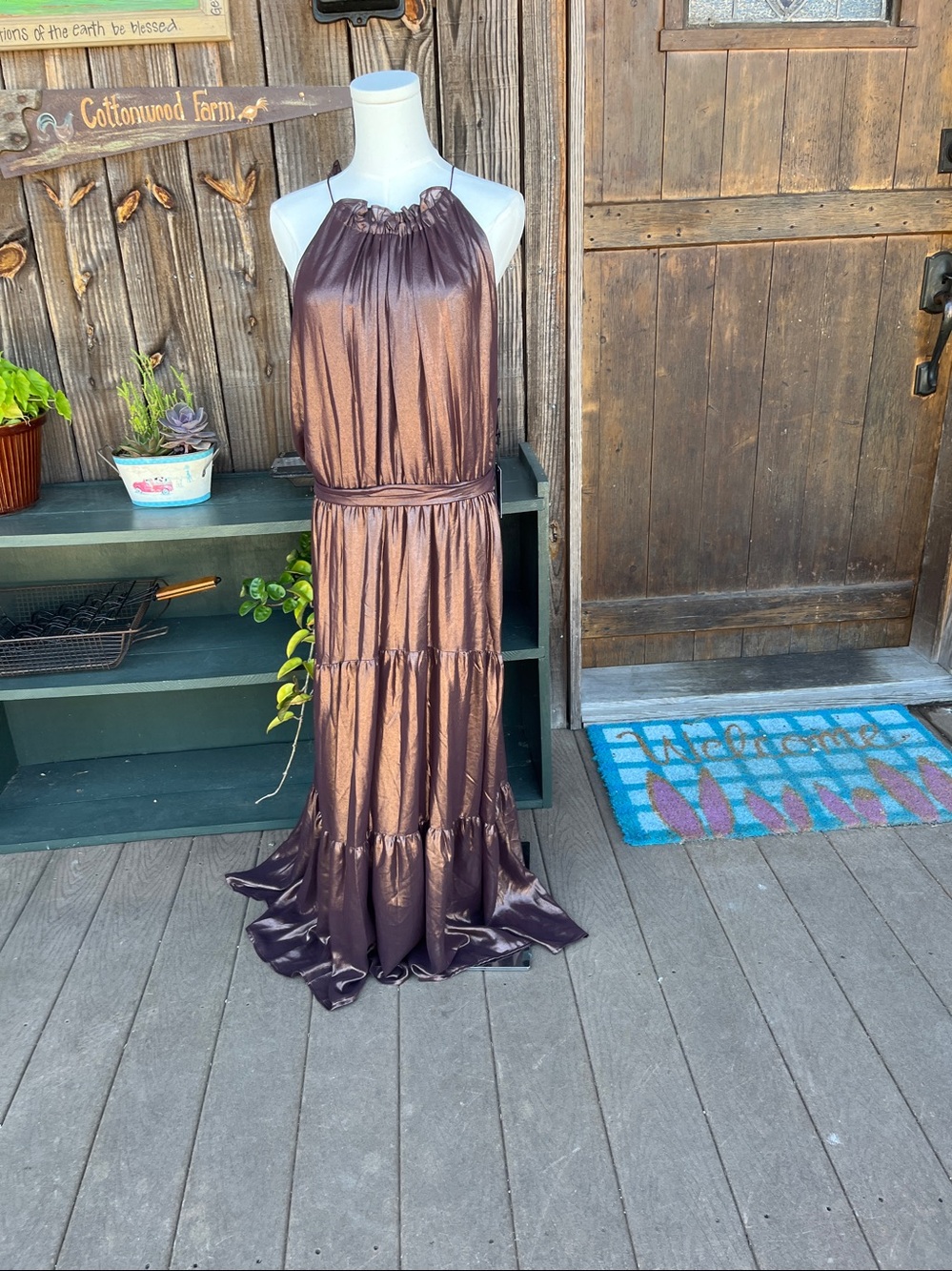 Simply Vera Vera Wang XX LARGE Maxi party dress iridescent Plum NWT